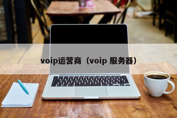 voip运营商（voip 服务器）